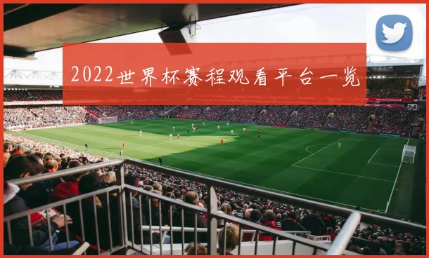 2022世界杯赛程观看平台一览