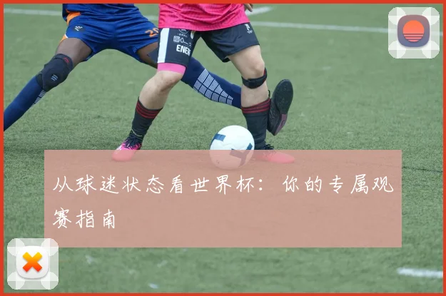 从球迷状态看世界杯：你的专属观赛指南